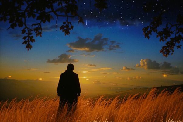 из туркестанского альбома