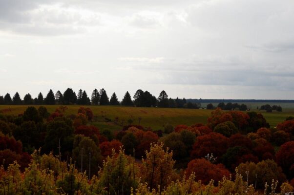 Отъезд («Осенний ветер так уныл…»)