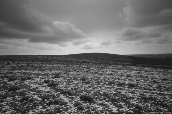 Отрывок («Бесплодные места, где был я сердцем молод…»)