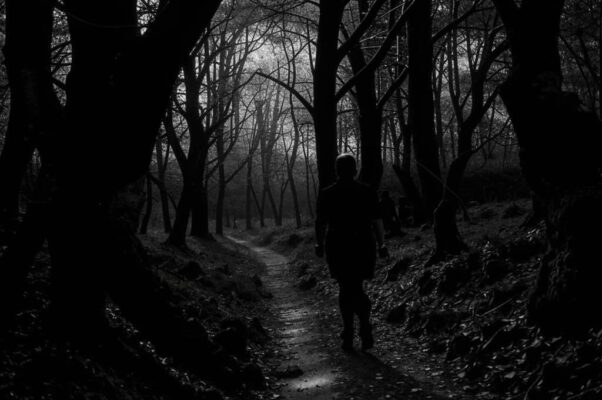 «С каждой весною пути мои круче...»