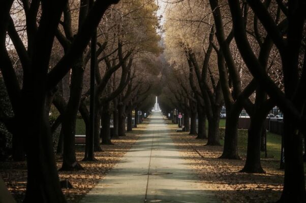 «Вчера на парковой аллее...»