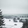 «Под небом мертвенно-свинцовым...»