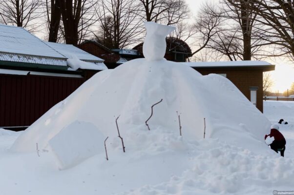 «Что снежных тел, легчайших тел есть мера...»