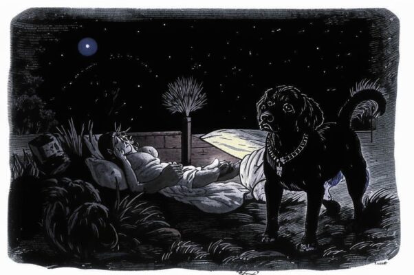 «Сырое лето. Я лежу...»