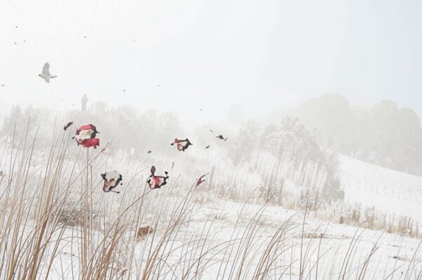 «Ясно и мглисто...»