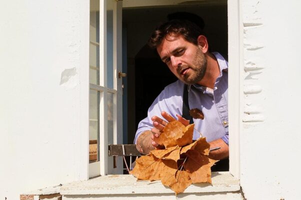 Двор («Маляр в окне свистал и пе…»)