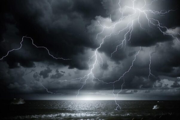 М. Д. Жедринской