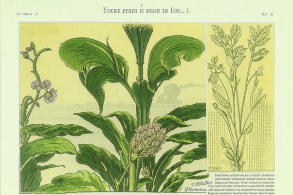 Девушке («Ты перед ним ― что стебель гибкий…»)