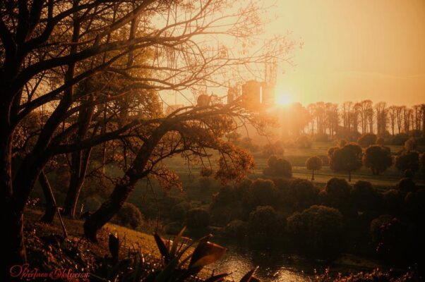 «Глянь, как тускло и бесплодно...»