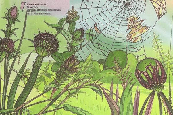 «Короткий час. Тогда чертополох...»