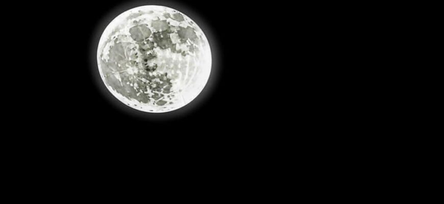 Мелодия для арфы