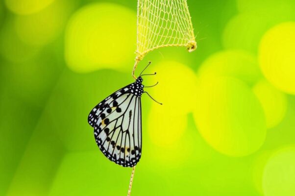 «Вот и жди, когда распустятся воздушные тиски...»