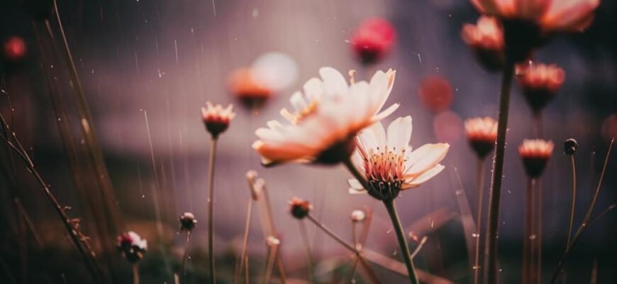 Весна: (Элегия)