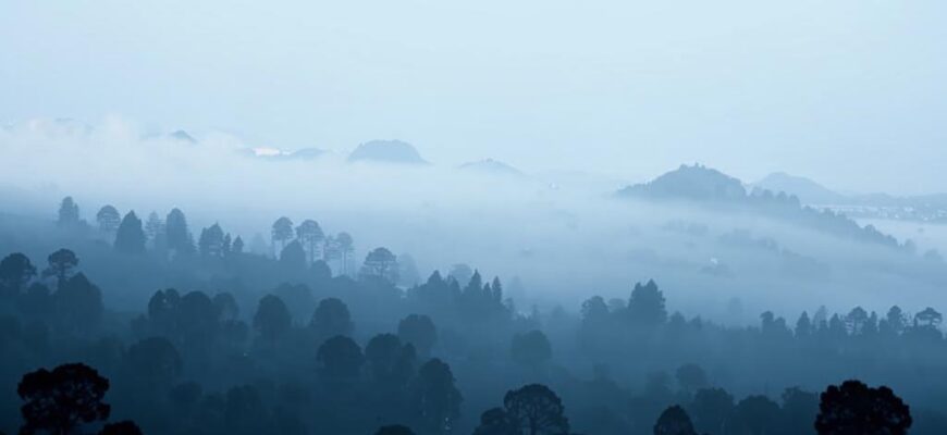 Закатный звон в поле