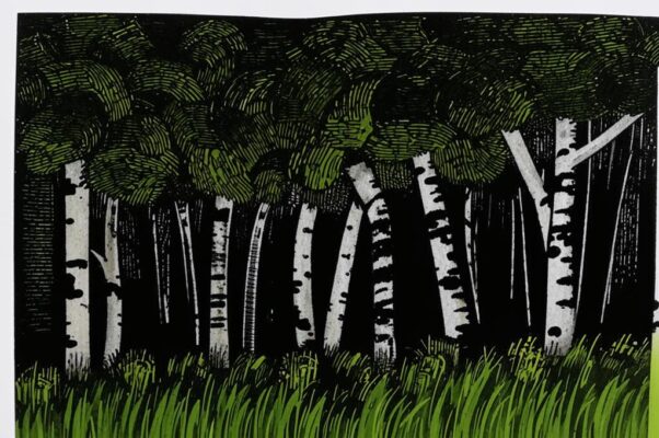 «Черная туча висит над полями...»