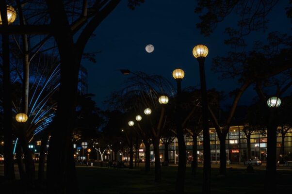 Госпоже города