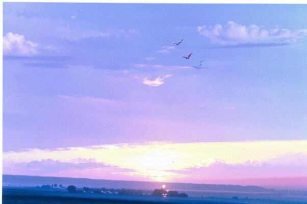 «Все общим светом затянулось...»