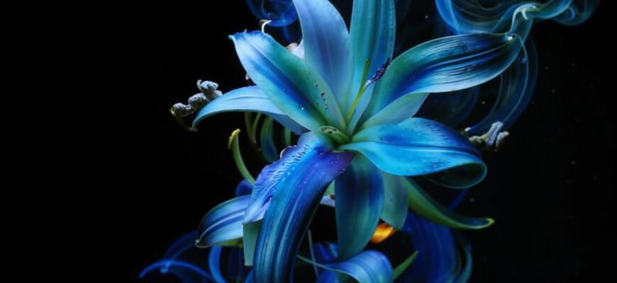 Аромат лилеи мне тяжел