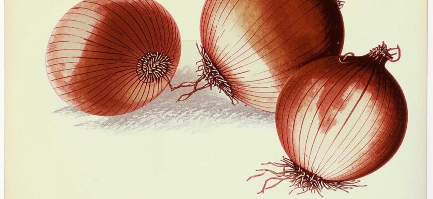 «Наша жизнь коротка...»