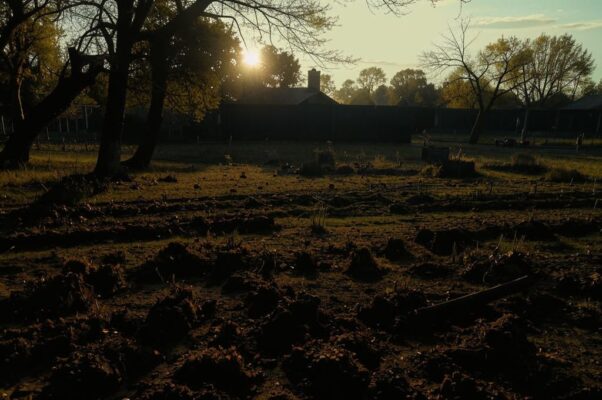 «Осенней ночи тень густая...»