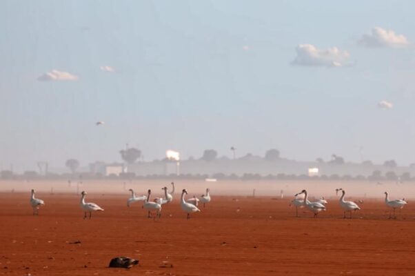 «Проходил я холодной равниной...»