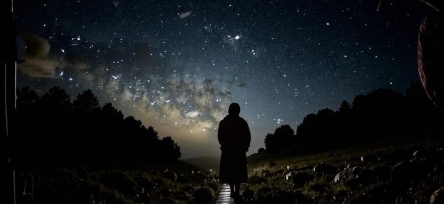 Ночной пилигрим