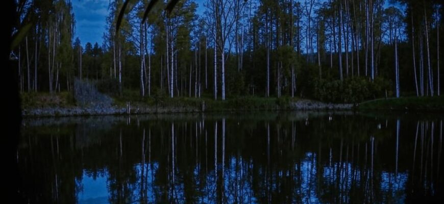Заключение («Товарищ, я прожи…»)