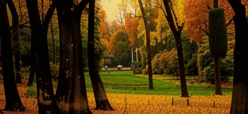 Сентябрь («Раззолочённые, но чахлые сад…»)