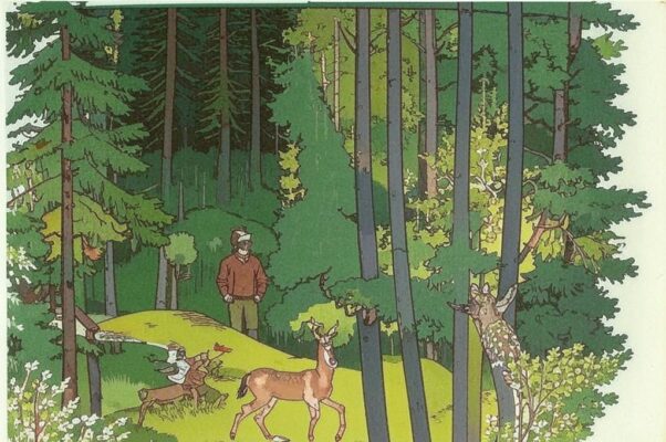 Завоеватели дорог