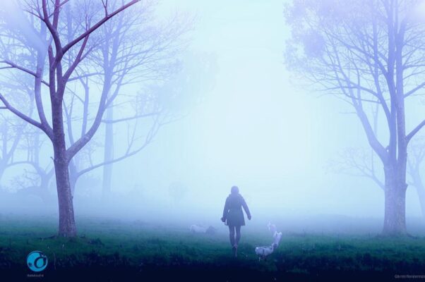 «Мы не торопимся заране...»