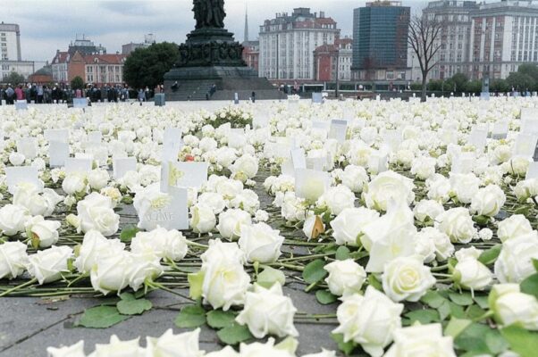 Розы на Вацлавской площади
