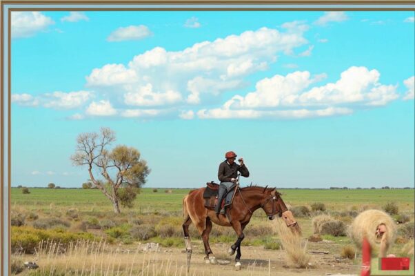 Путник («Покрыты серой пылью гетры…»)