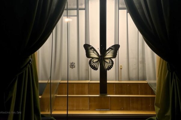 «Силой вырванный у ночи...»