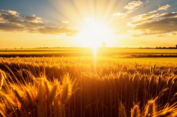 «Кровь не обманешь. И нет...»