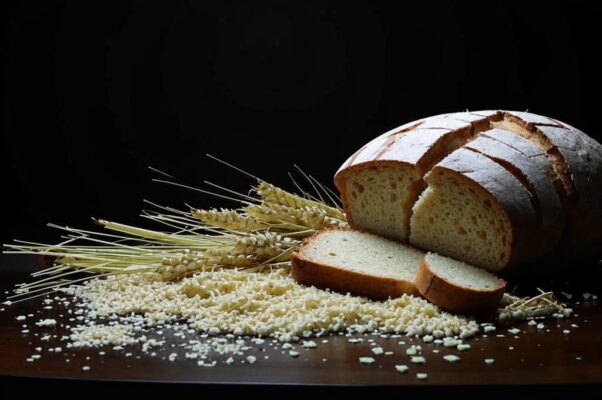 «Все завершается единоборством...»