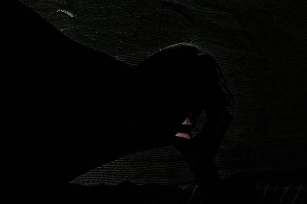 «Слушай — и в смутных догадках не лги...»