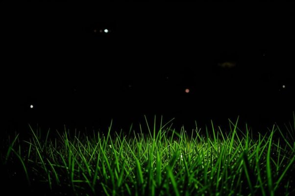 «Меня бессонница томила...»