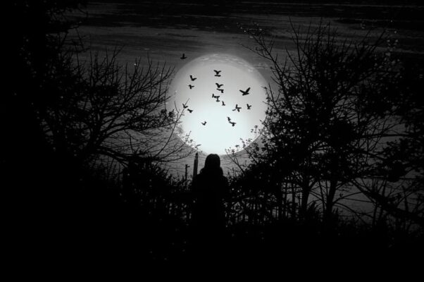 Серенада Шуберта