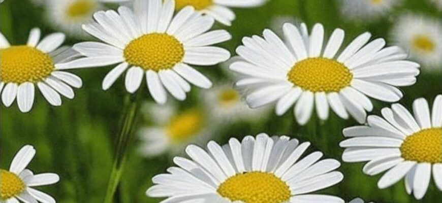 Примиренье