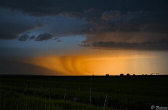 «Лето с сюрпризом...»