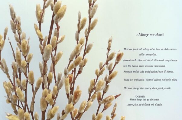 «Может, не друзья мы...»