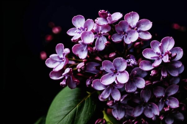 «Из каких четвертых измерений...»