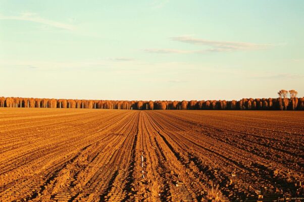 «Осень! Свобода!.. Сухого жнивья кругозор...»