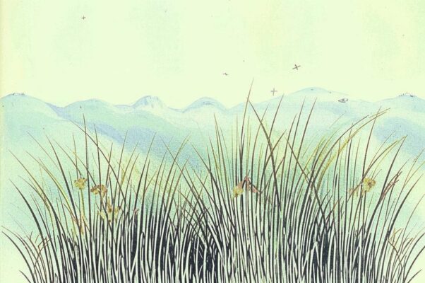 Серая травка