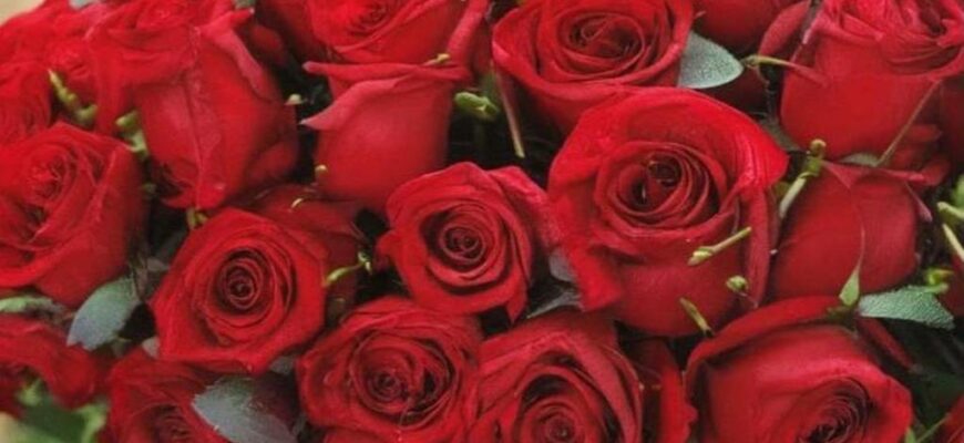 Песня пролетариев