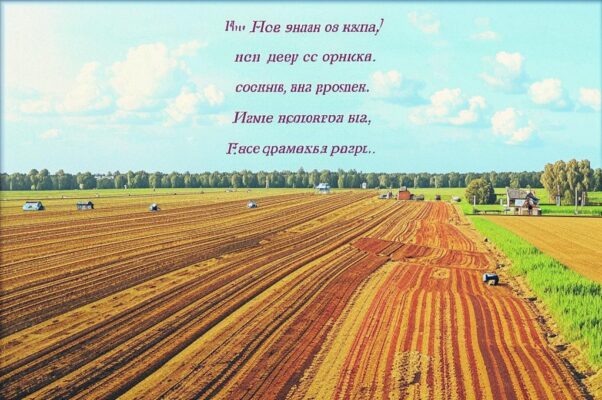 Не память...