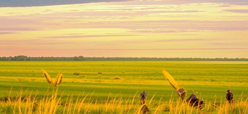 «Весна, как степь, светла и широка...»