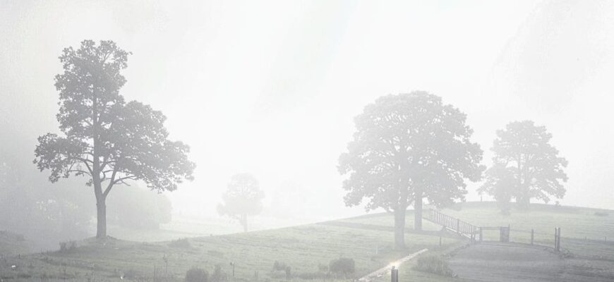 «Прошептали тихо: здравствуй...»