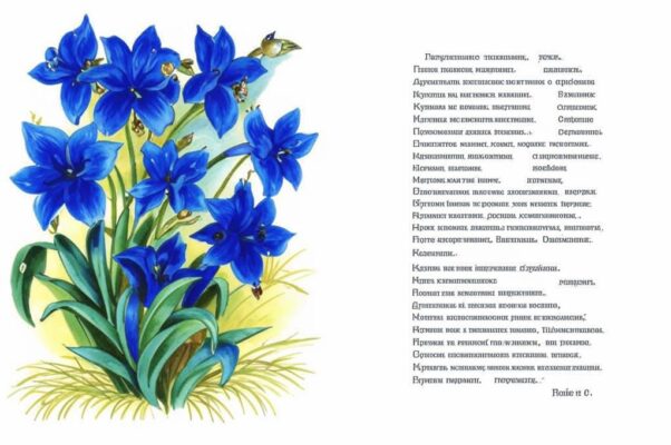 В отблесках голубого сияния