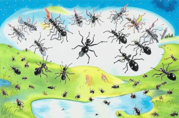 «Мирных жители краев...»